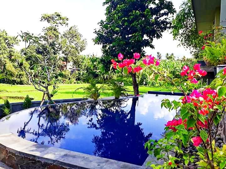 Medewi Beach View Villa Jembrana エクステリア 写真