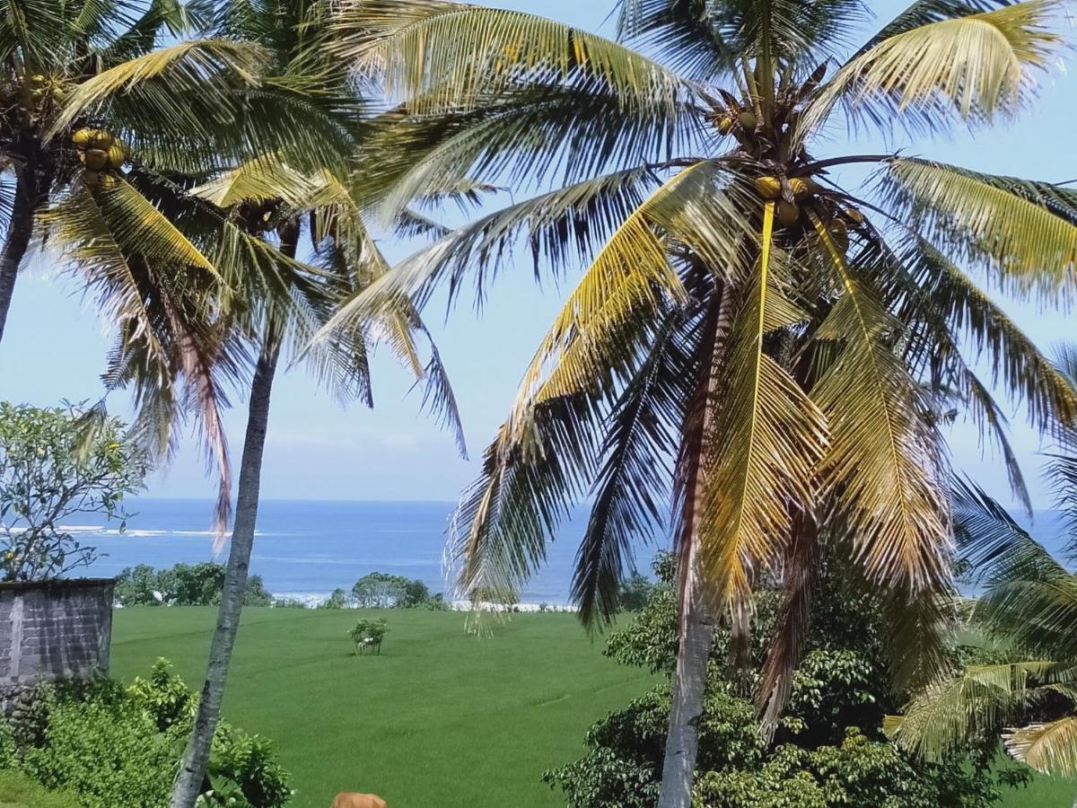 Medewi Beach View Villa Jembrana エクステリア 写真