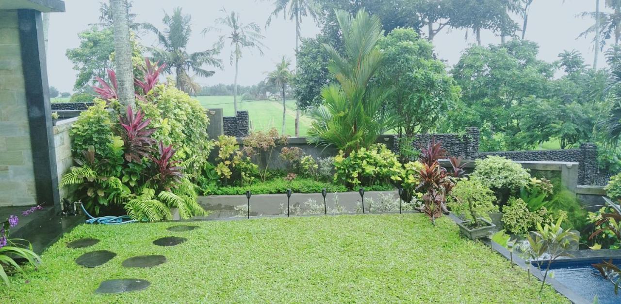 Medewi Beach View Villa Jembrana エクステリア 写真
