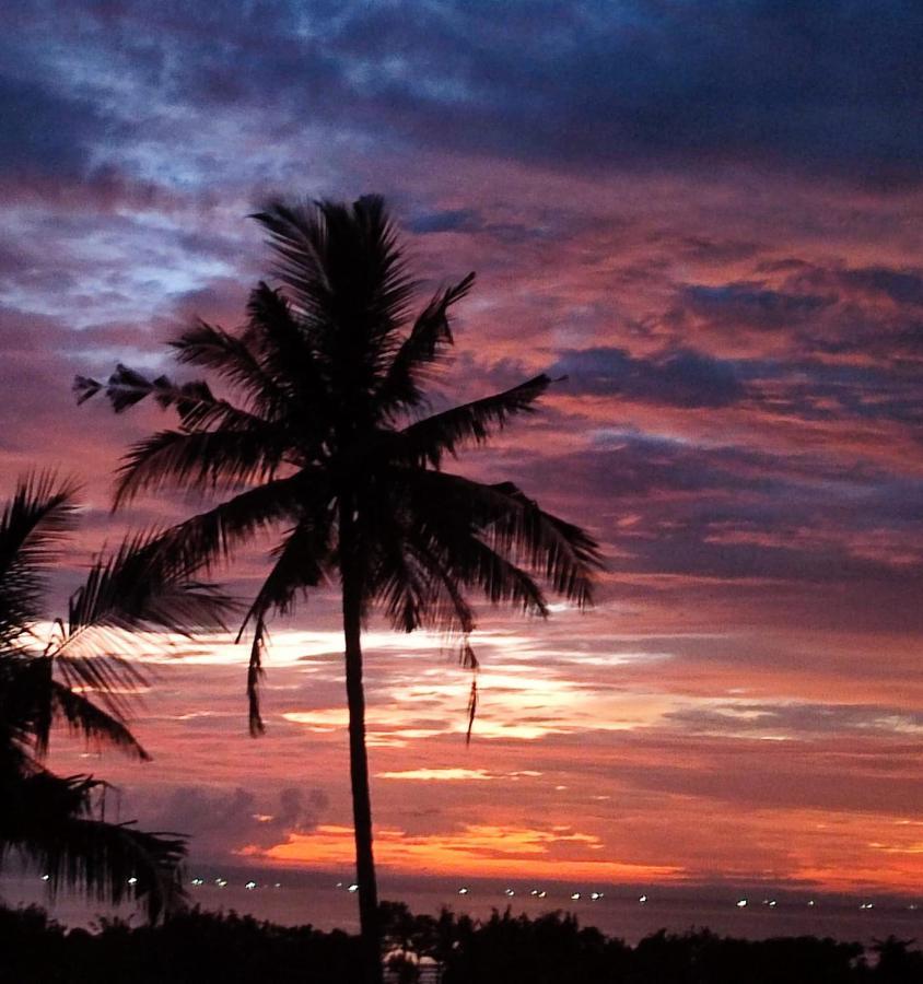 Medewi Beach View Villa Jembrana エクステリア 写真